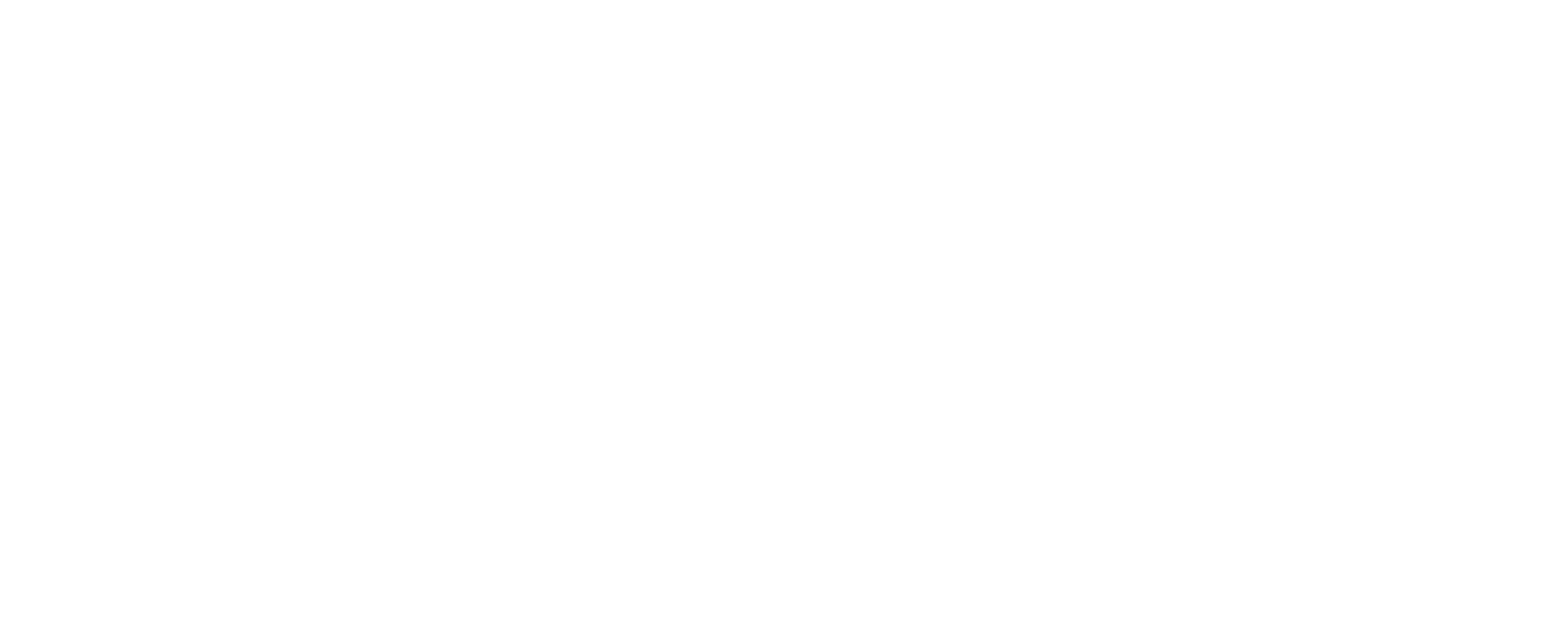 Logo 20House